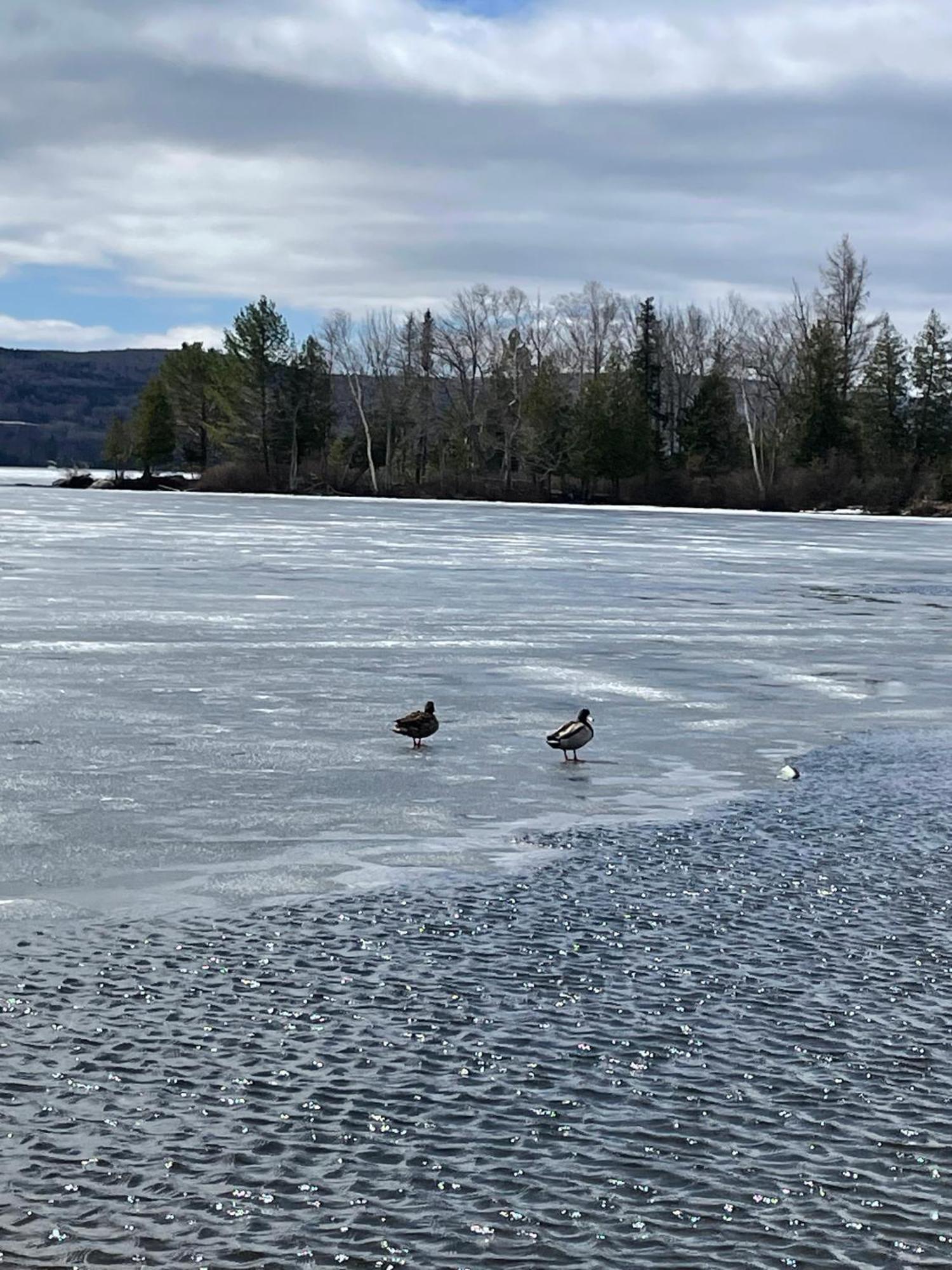 Rangeley Town & Lake Exterior photo
